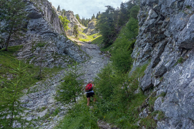 Wegverlauf im oberen Bereich des Brennerriesensteigs.