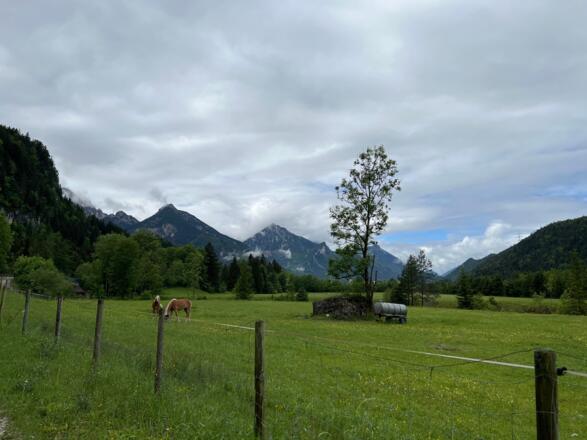 Richtung Unterpinswang Lechradweg