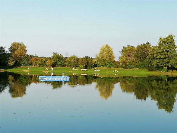 Anglberger Weiher mit Badeinsel