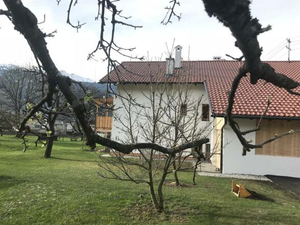 Schusterbrand, Außenansicht8