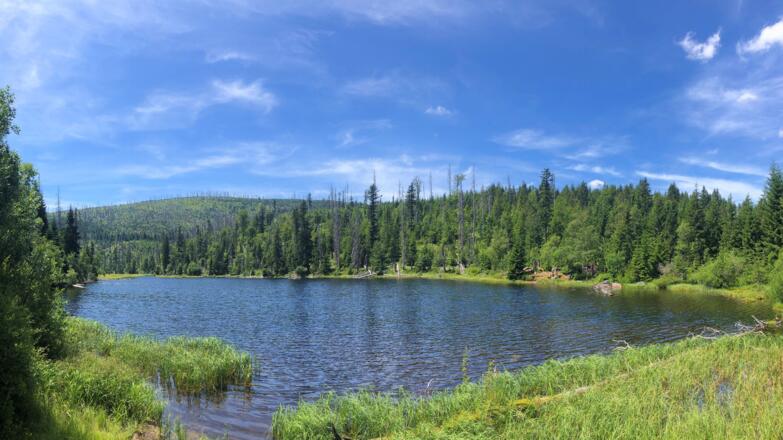 Lakasee