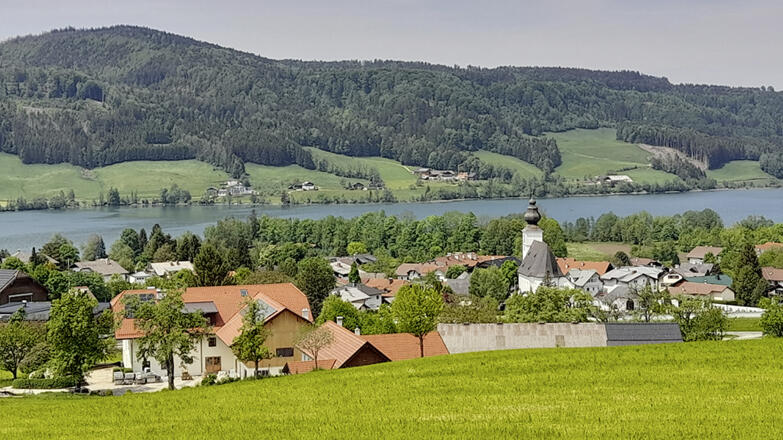 Ausblick