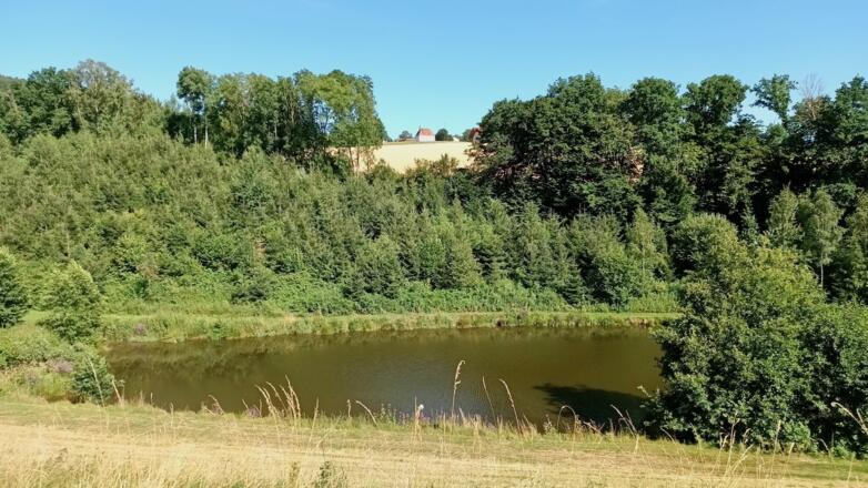 Blick nach Herrnfehlburg aus dem Kinsachtal