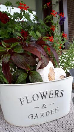 Flowers &amp; Garden