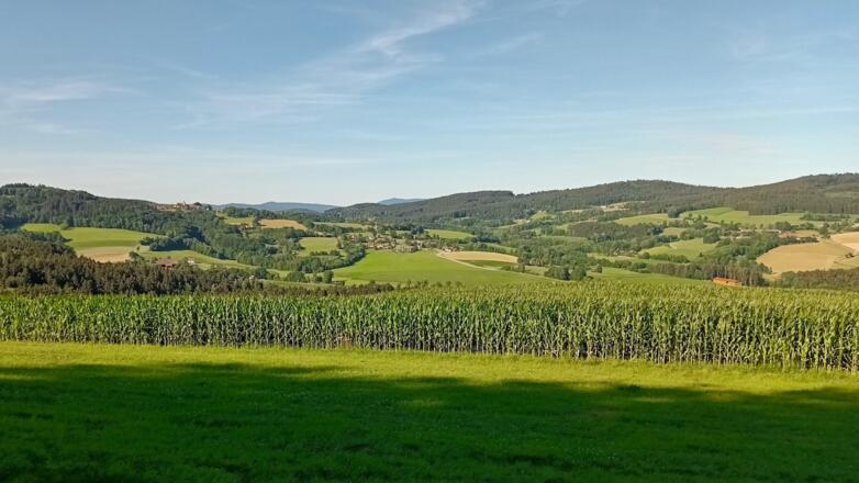 Blick nach Konzell und Hohen Bogen (hinten rechts)
