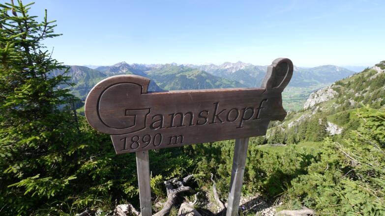 Auf dem Gipfel des Gamskopf