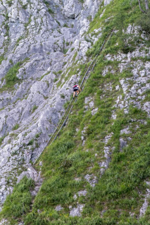Lange Leiter im Brennerriesensteig.