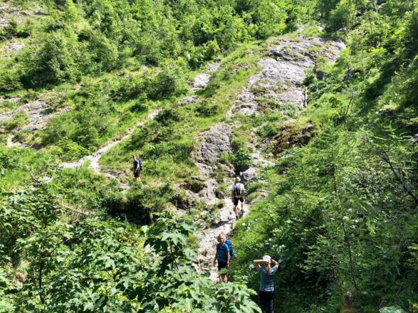 Kurz vor der Waldgrenze
