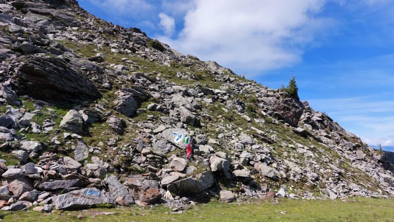 Nach Querung der Piste führt noch ein kurzer Steig zum Einstieg. Fette Pfeile weisen den Weg.