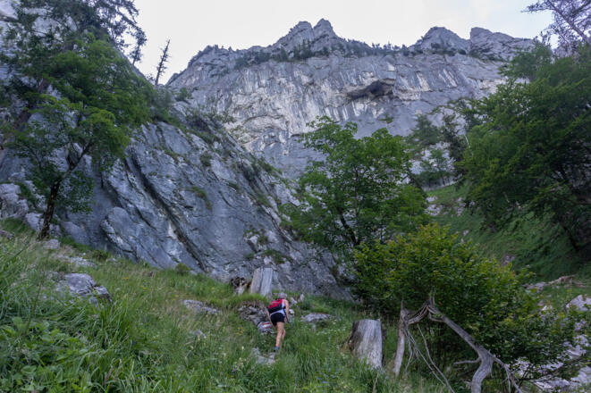 Unter mächtigen Felswänden schlängelt sich der Brennerriesensteig nach oben.