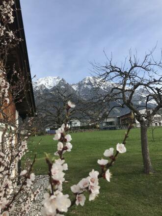 Schusterbrand, Außenansicht9
