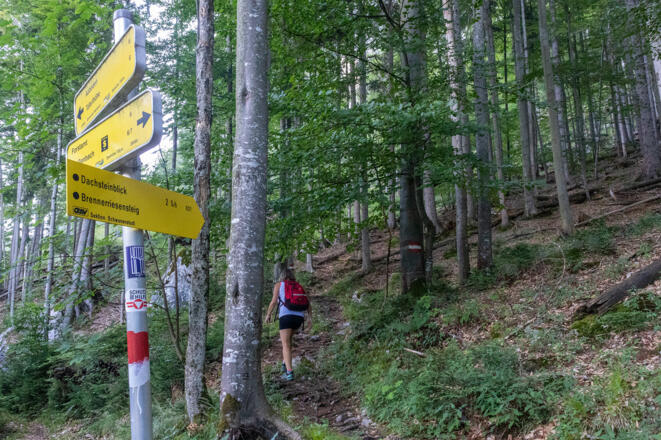 Einstieg in den Brennerriesensteig (730 m).