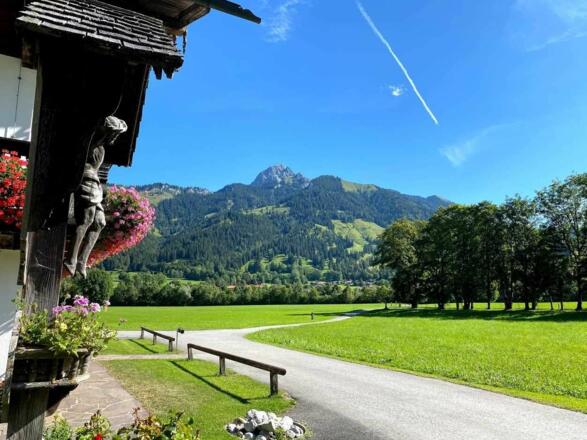 Ausblick