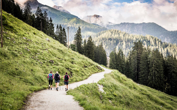 Wanderung auf dem Königsweg am Jenner