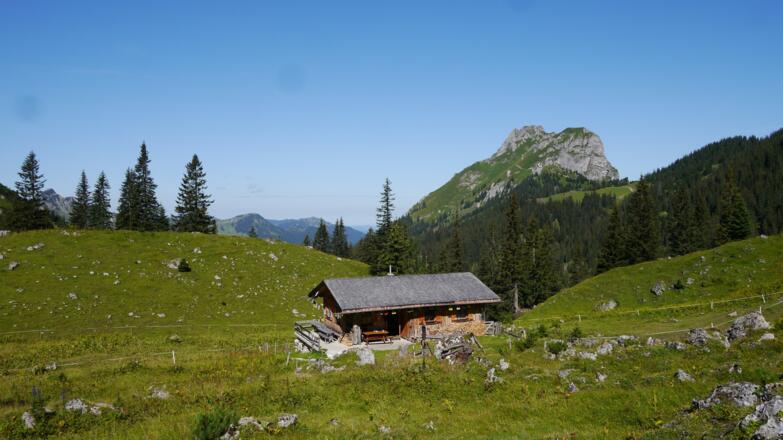 Jagdhütte an der Sebenalpe, im Hintergrund der Aggenstein