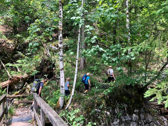 Sommerweg Brücke über Bach