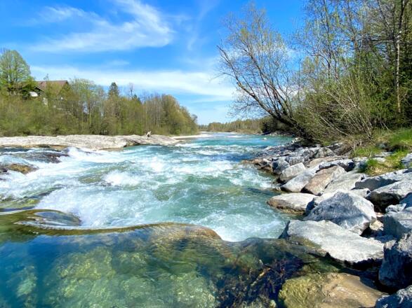 Blick auf die Isar vom Ufer aus
