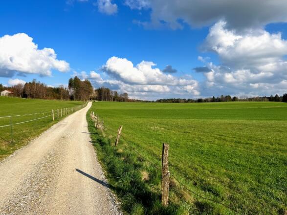 Natur pur