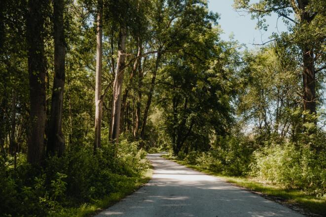 Radtour am Donauradweg Aulandschaft Enns