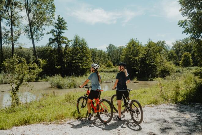 Radtour am Donauradweg Aulandschaft Enns
