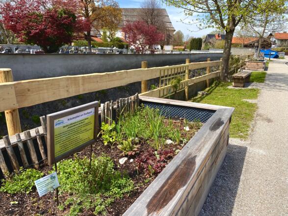 Kräuterbeete in Lenggries