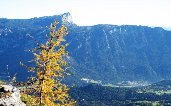 Blick zum Untersberg von der Karspitz
