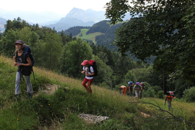 Wiesenpfad unterhalb Wildbichler Alm