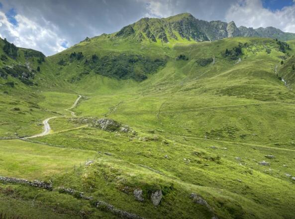 Landschaft Luegergraben Nähe Steinbergalm