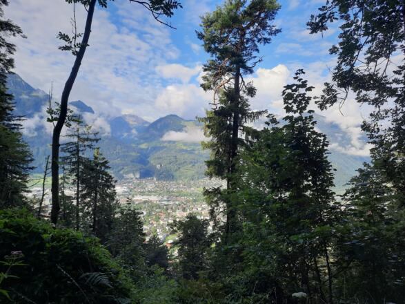Blick hinunter Richtung Bludenz
