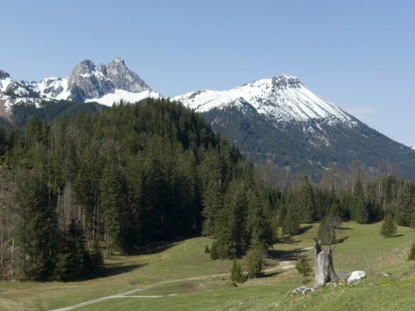 Ausblick von der Saloberalm zum Aggenstein in den Tannheimer Bergen