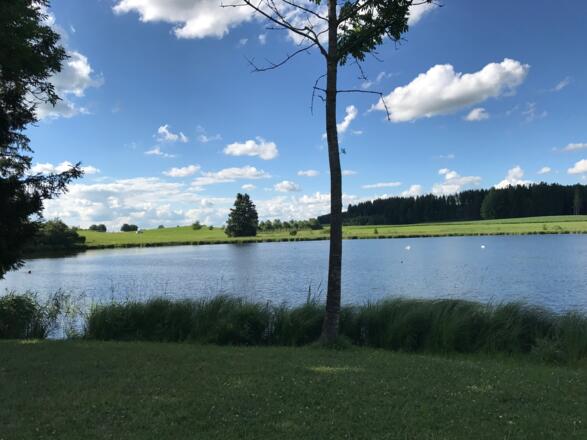 Kuhstallweiher