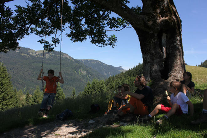 Schaukel bei Wildbichler Alm