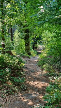 Neun-Gipfel-Tour