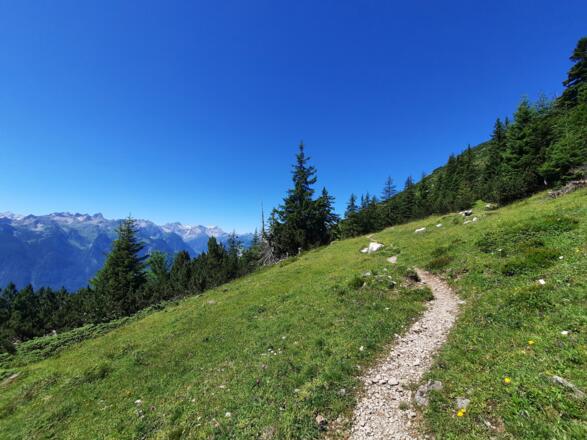Wanderweg vom Gipfel Richtung Tiefenseesattel