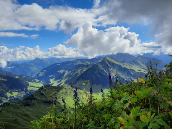 Ausblick Richtung Faschina und Bregenzerwald