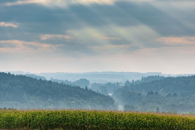 Auf dem Marterlweg bei Saal a.d. Donau