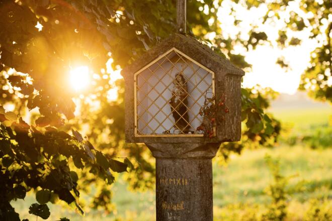 Sonnenuntergang auf dem Marterlweg in Saal a.d. Donau