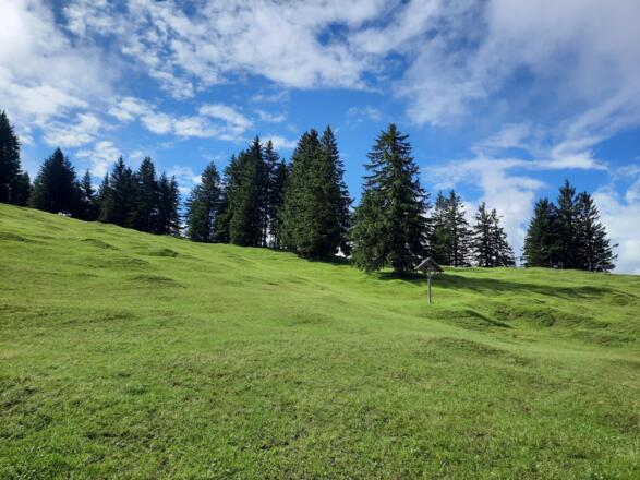 Bildstock auf der Oberen Furkla