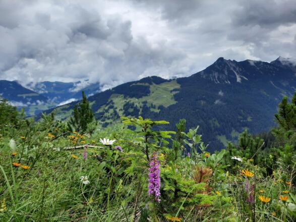 Blick Richtung Großes Walsertal auf dem Rückweg zur Muttersbergbahn Bergstation