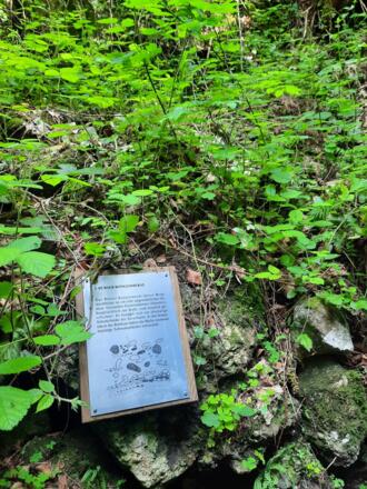 Informationstafeln in der Bürser Schlucht