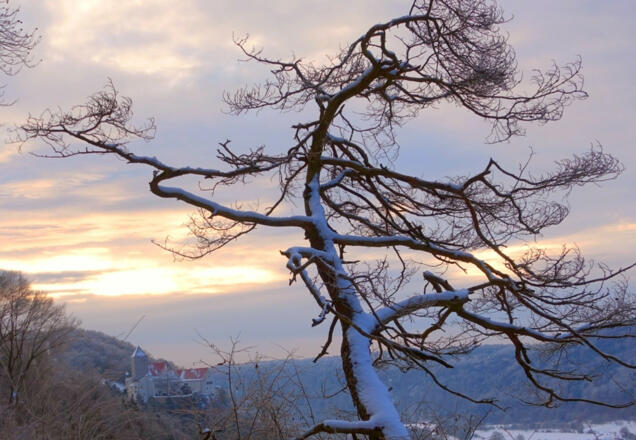 Wanderweg nach Burg Prunn