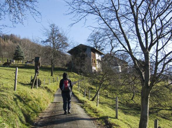 Aufstieg zum Dandlberg