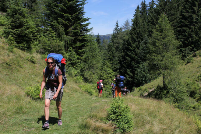 Waldsattel kurz vor dem Gipfel