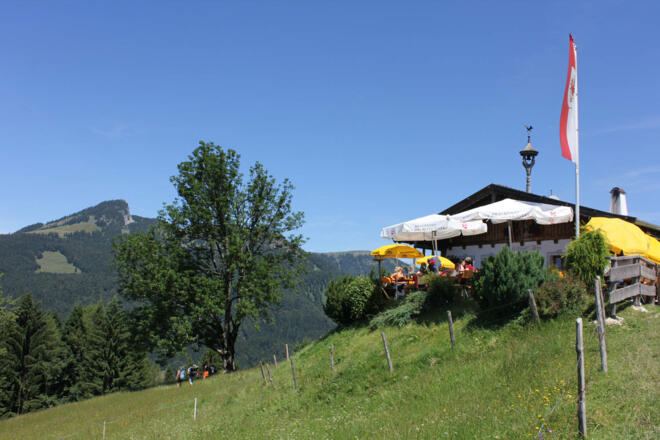 Wildbichler Alm