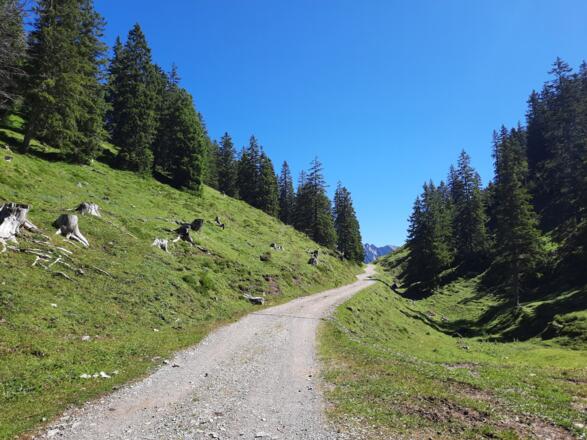 Güterweg zwischen Tiefenseesattel und Bergstation der Muttersbergbahn