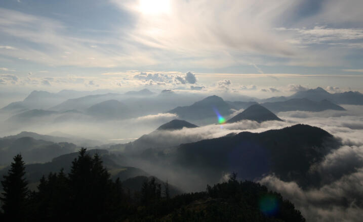 Nebelstimmung am Spitzstein
