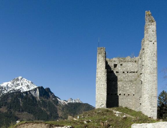 Die Ruine Vilsegg