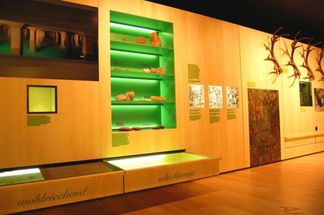 Im Museum