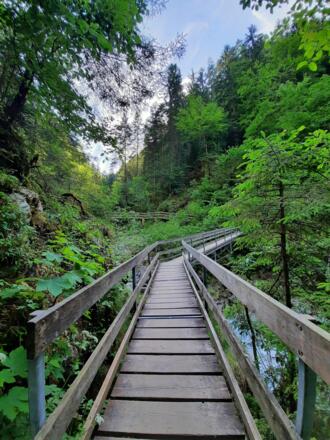 Zahlreiche Stege führen durch die Schlucht