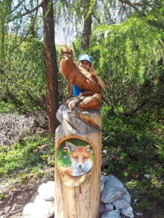 hausbachstelzeneustift068191